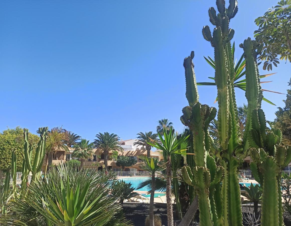 Apartmán Elrincondesara Corralejo Exteriér fotografie