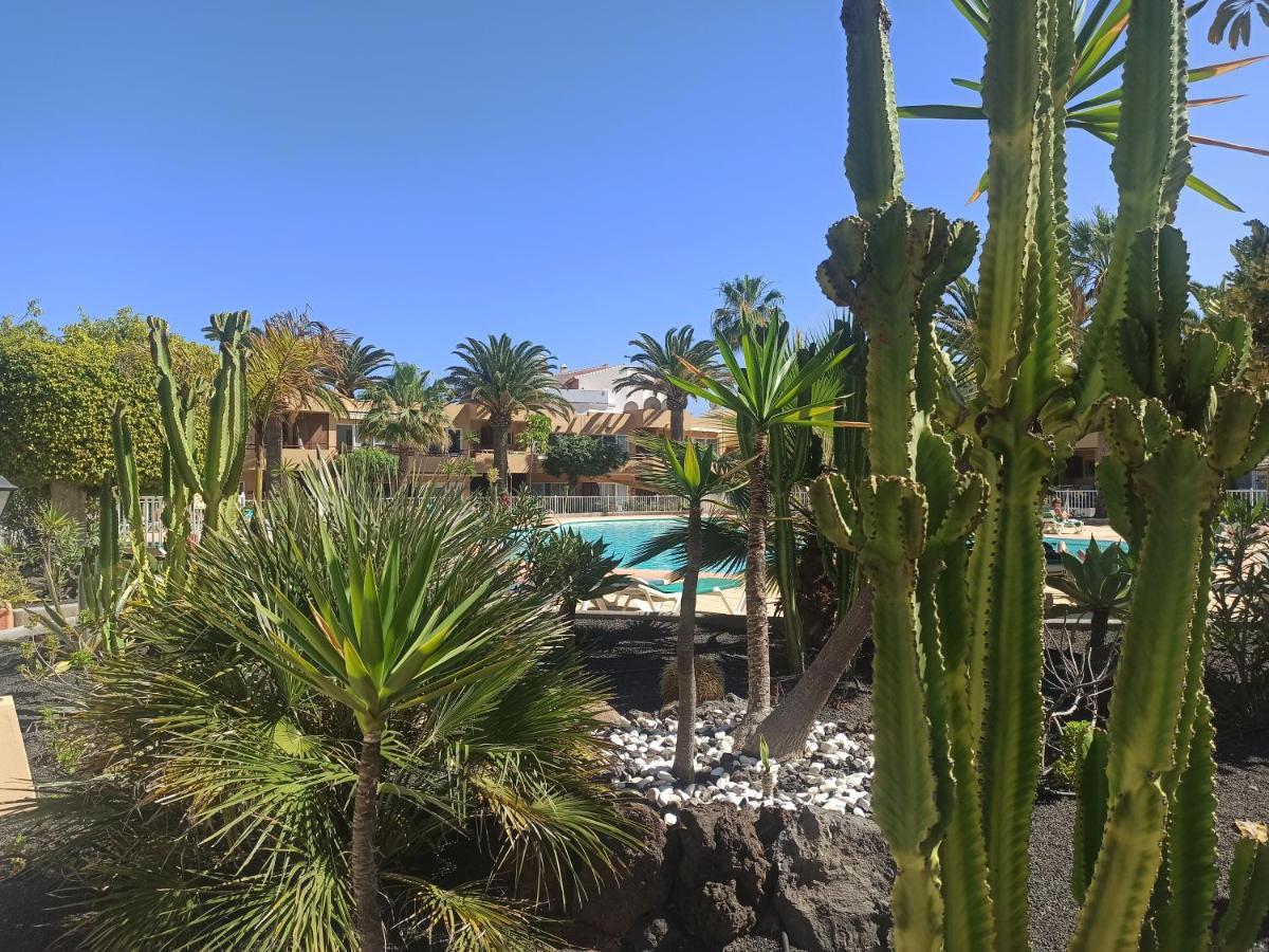 Apartmán Elrincondesara Corralejo Exteriér fotografie